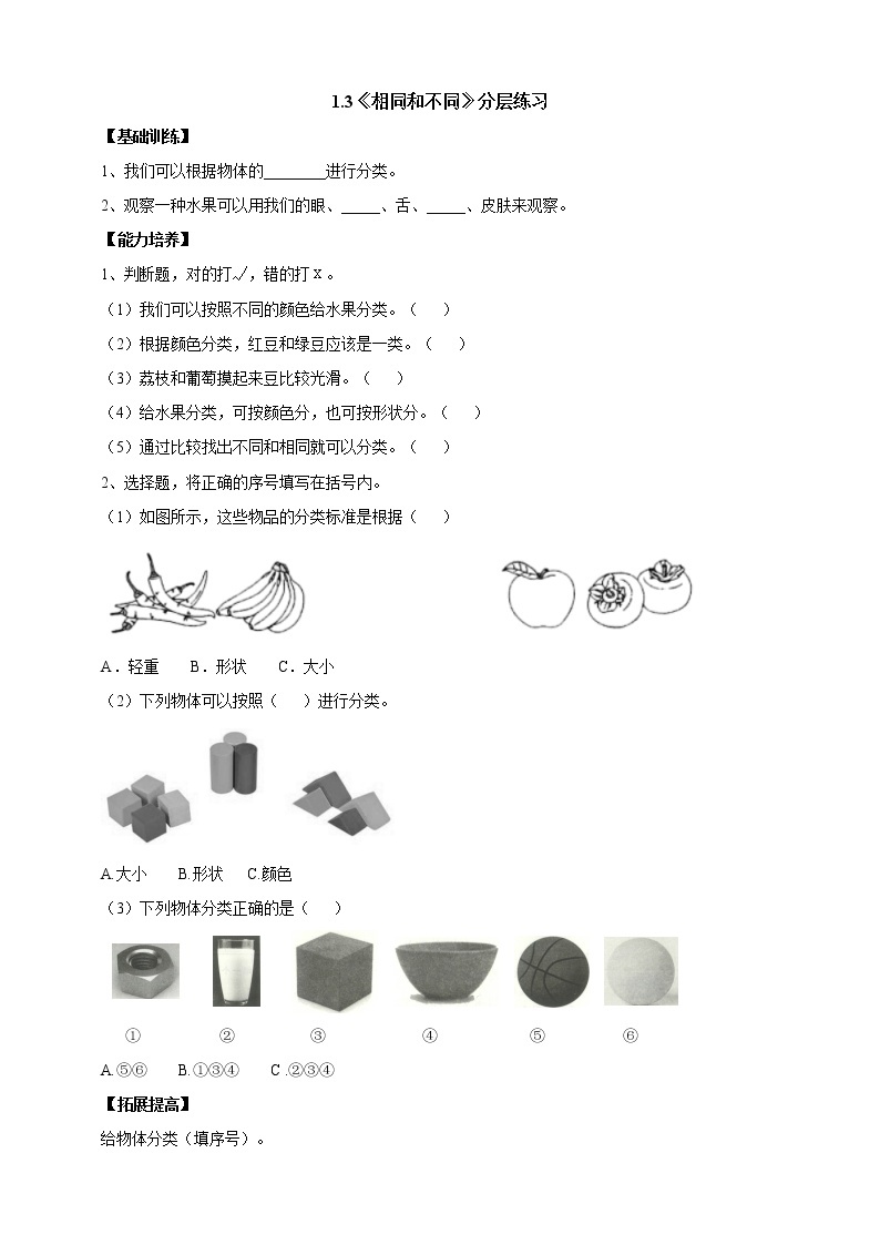 【人教鄂教版】一上科学 1.3《相同和不同》（课件+教案+同步练习）01