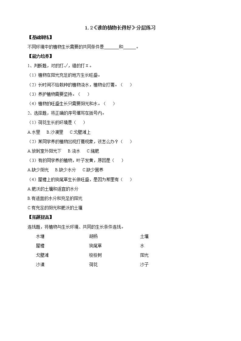 【人教鄂教版】二上科学  1.2《谁的植物长得好》（课件+教案+练习）01