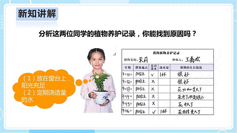 【人教鄂教版】二上科学  1.2《谁的植物长得好》（课件+教案+练习）08