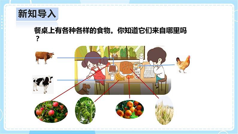 【人教鄂教版】二上科学  1.3《我们离不开植物》（课件+教案+练习）03