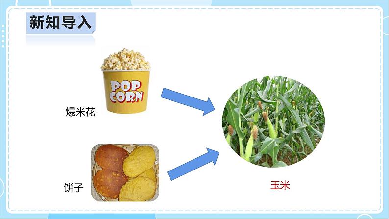 【人教鄂教版】二上科学  1.3《我们离不开植物》（课件+教案+练习）05