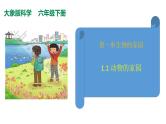 1.1 动物的家园 课件