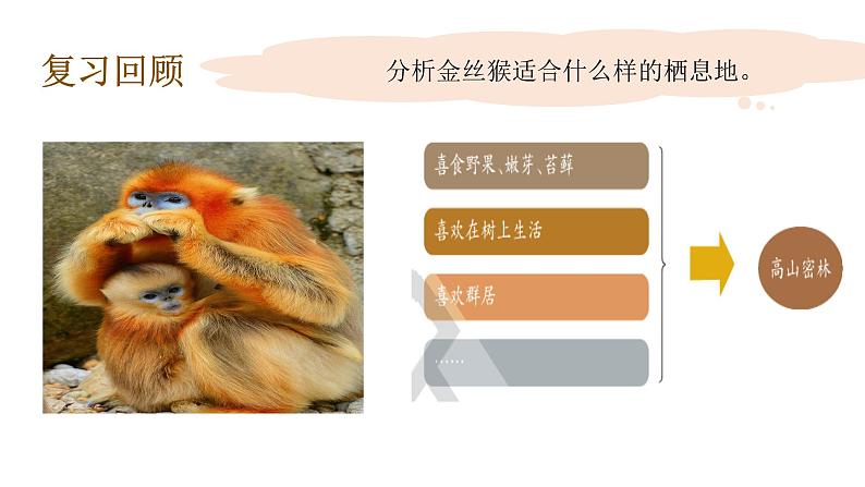 1.3环境变化与动物行为课件07