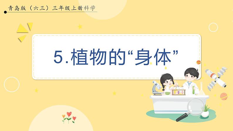 【青岛版六三制】三上科学 2.5 植物的“身体 课件01