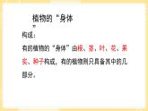 【青岛版六三制】三上科学 第二单元  单元评价 课件