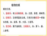 【青岛版六三制】三上科学 第二单元  单元评价 课件
