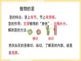 【青岛版六三制】三上科学 第二单元  单元评价 课件