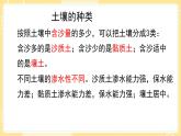 【青岛版六三制】三上科学 第三单元  单元评价 课件
