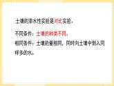 【青岛版六三制】三上科学 第三单元  单元评价 课件