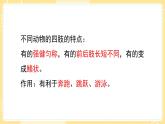 【青岛版六三制】三上科学 第一单元  单元评价 （课件