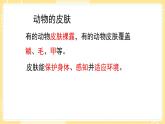 【青岛版六三制】三上科学 第一单元  单元评价 （课件