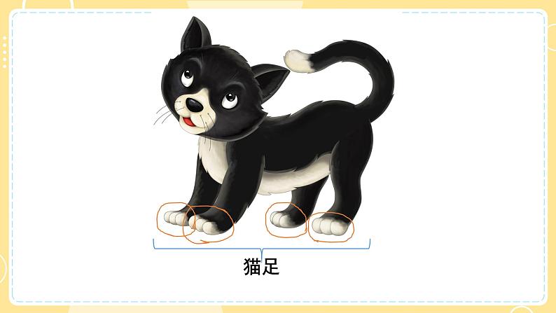 【青岛版六三制】三上科学 1.1 动物的四肢  课件04