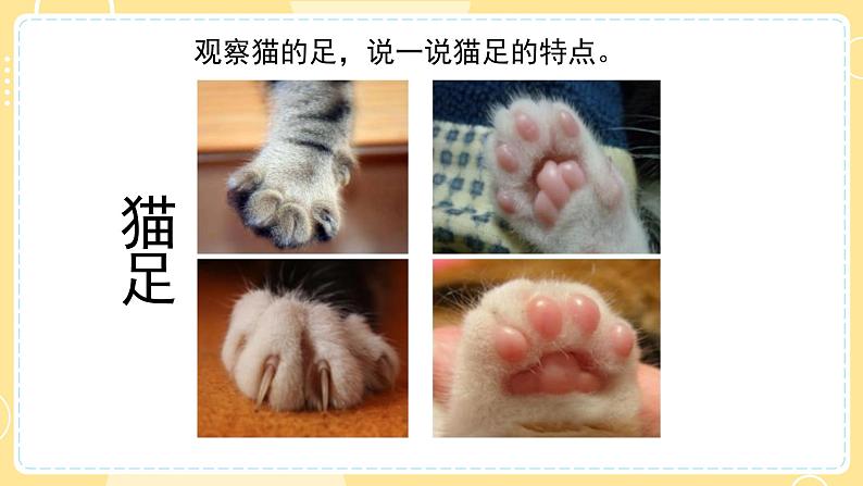 【青岛版六三制】三上科学 1.1 动物的四肢  课件05