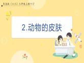 【青岛版六三制】三上科学 1.2 动物的皮肤 课件