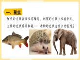 【青岛版六三制】三上科学 1.2 动物的皮肤 课件