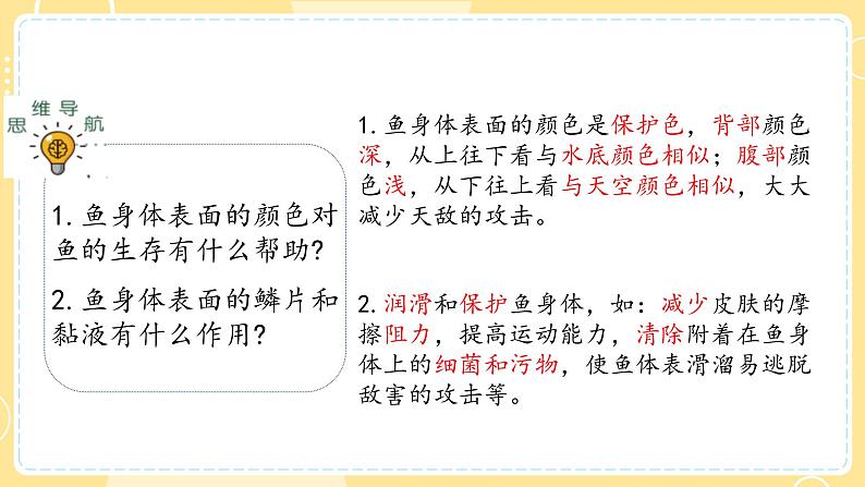 【青岛版六三制】三上科学 1.2 动物的皮肤 课件第4页