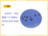 【青岛版六三制】三上科学 1.4 冬眠与迁徙 课件