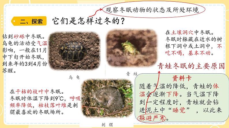 【青岛版六三制】三上科学 1.4 冬眠与迁徙 课件03