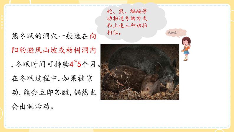 【青岛版六三制】三上科学 1.4 冬眠与迁徙 课件05
