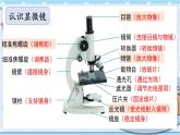 大象版科学六上 1.1《显微镜下的细胞》课件+视频+练习