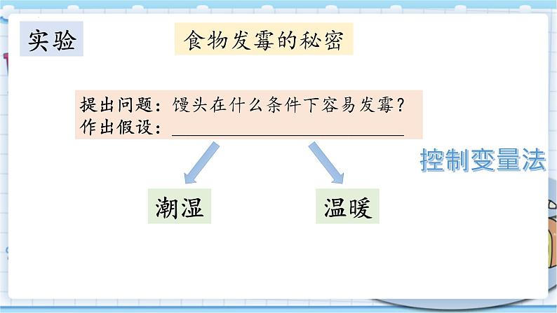 大象版科学六上 1.3《发霉的馒头》课件08