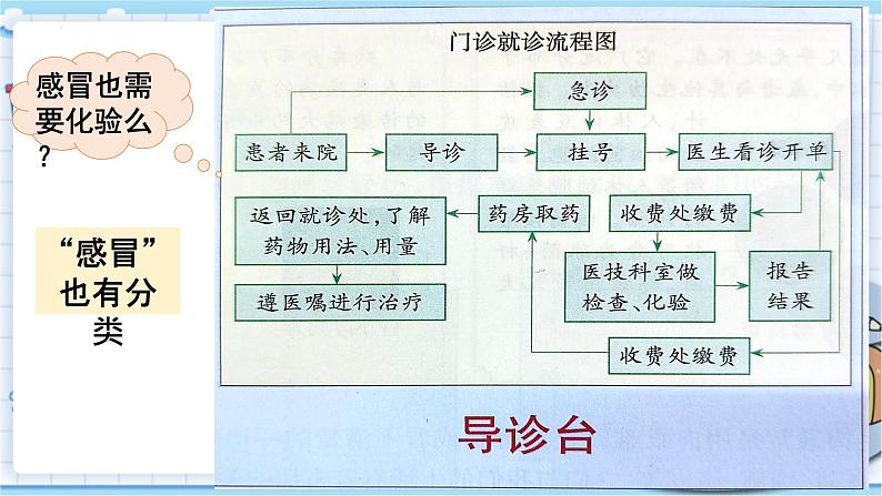 大象版科学六上 1.4《不一样的“感冒”》课件04