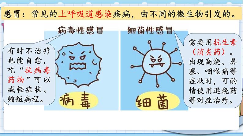 大象版科学六上 1.4《不一样的“感冒”》课件05