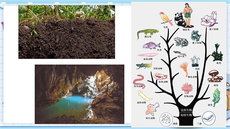 大象版科学六上 2.4《自然界中的水循环》课件03