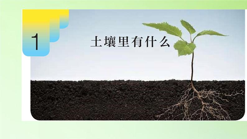 人教版鄂教版科学三年级下册第一单元1.《土壤里有什么》教案+学案+课件03