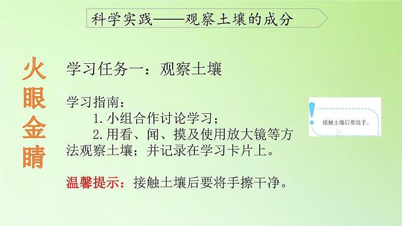 人教版鄂教版科学三年级下册第一单元1.《土壤里有什么》教案+学案+课件05