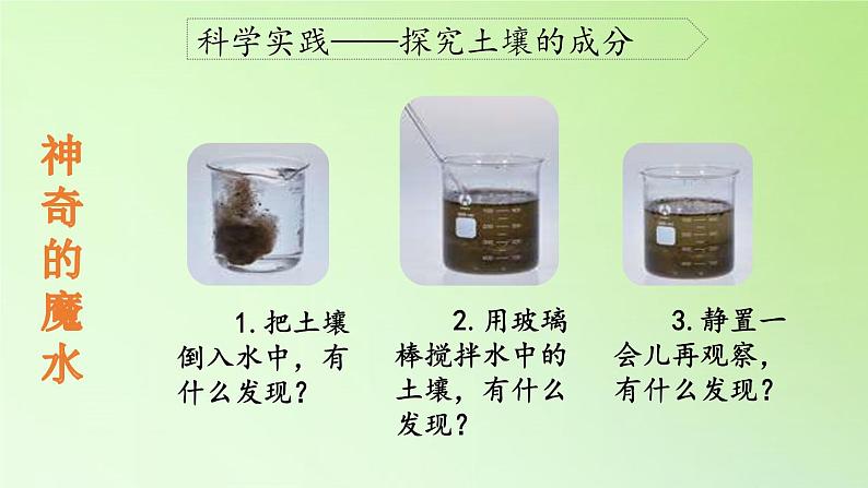 人教版鄂教版科学三年级下册第一单元1.《土壤里有什么》教案+学案+课件07