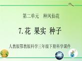 人教版鄂教版科学三年级下册第二单元7.《花 果实 种子》教学设计+学案+课件