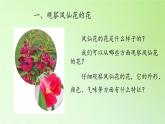 人教版鄂教版科学三年级下册第二单元7.《花 果实 种子》教学设计+学案+课件