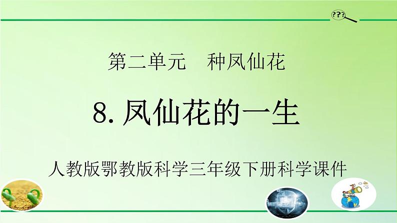 人教版鄂教版科学三年级下册第二单元8.《凤仙花的一生》教学设计+学案+课件01