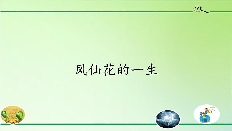 人教版鄂教版科学三年级下册第二单元8.《凤仙花的一生》教学设计+学案+课件02