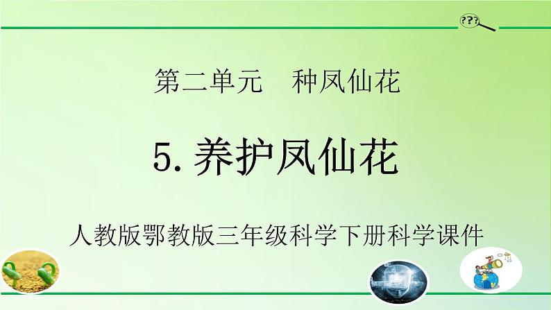 人教版鄂教版科学三年级下册第二单元5.《养护凤仙花》教学设计+学案+课件01