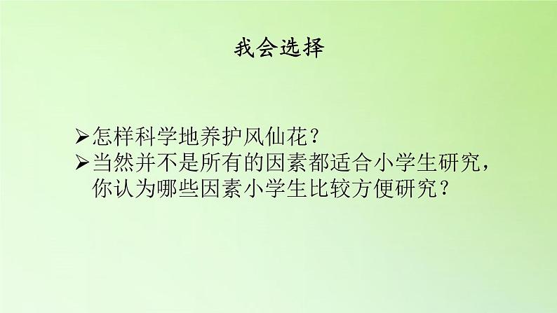 人教版鄂教版科学三年级下册第二单元5.《养护凤仙花》教学设计+学案+课件07