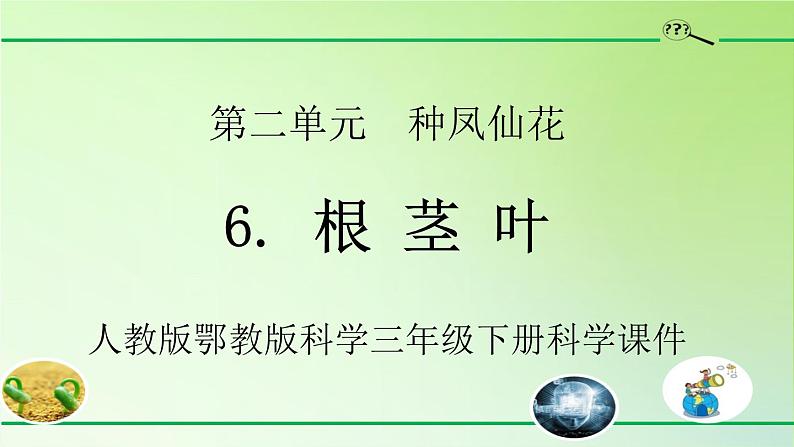 人教版鄂教版科学三年级下册第二单元6.《根 茎 叶》教学设计+学案+课件01