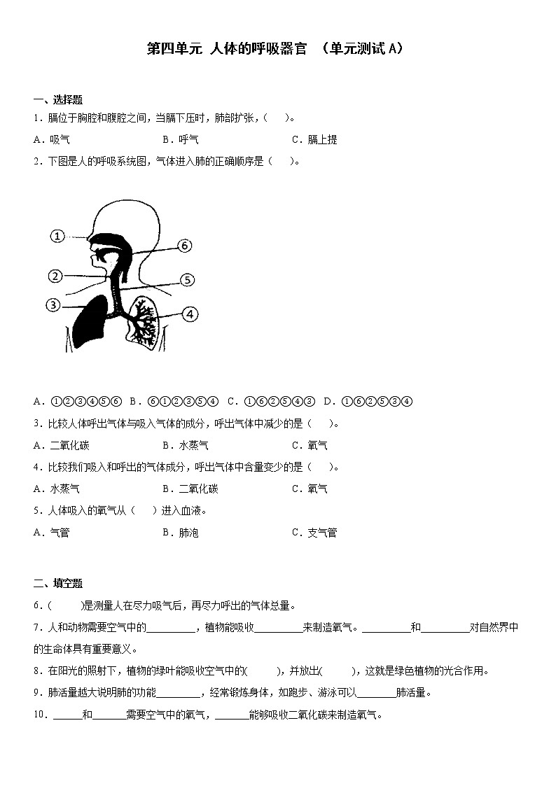 大象版科学四年级上册 第四单元人体的呼吸器官（单元测试A卷+答案）第1页