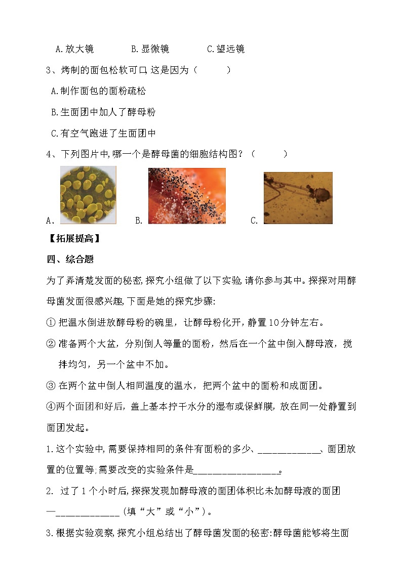 大象版科学六上 【新课标】1.2《发面的秘密》同步练习（含答案）02