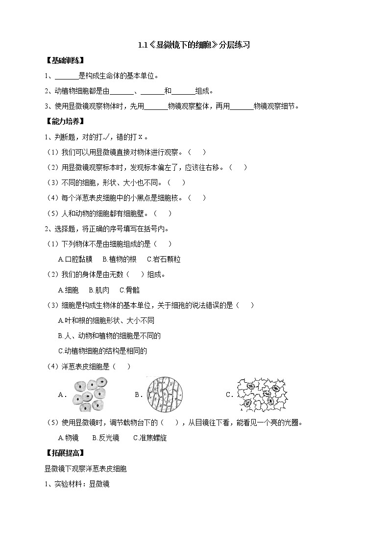 大象版科学六上 【新课标】1.1《显微镜下的细胞》分层练习（含答案）01