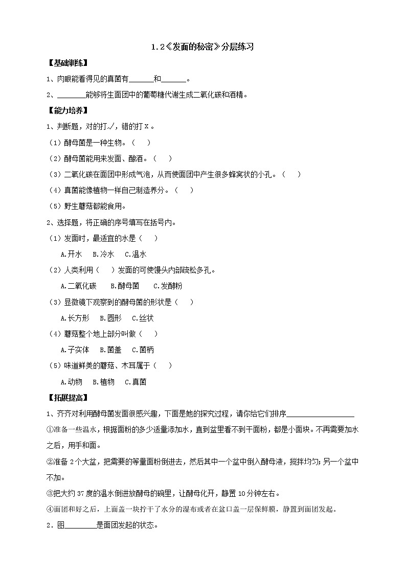 大象版科学六上 【新课标】1.2《发面的秘密》分层练习（含答案）01