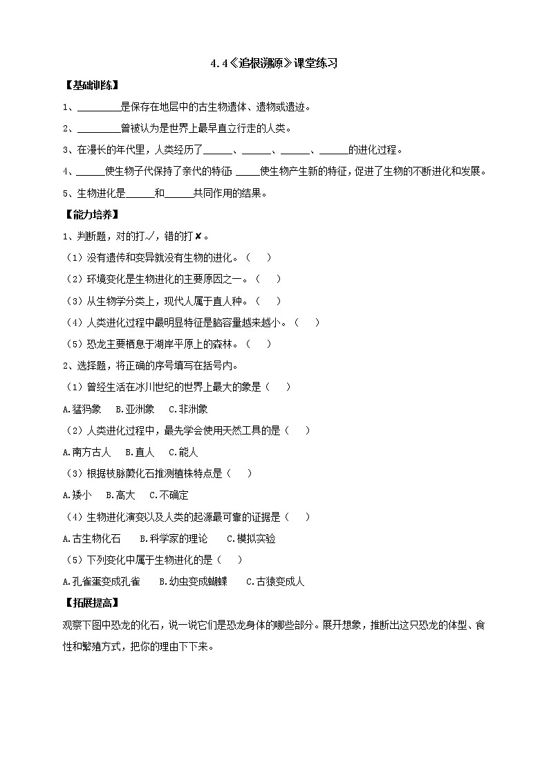 大象版科学六上 【新课标】4.4《追根溯源》分层练习（含答案）01