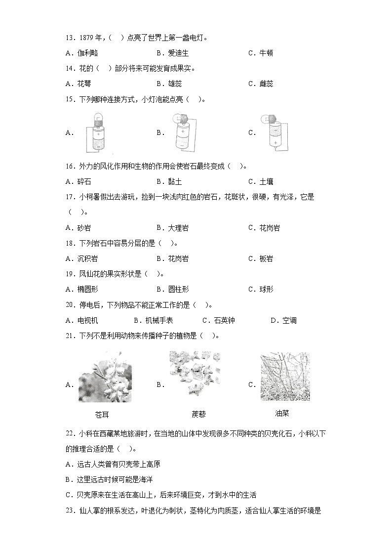 教科版科学 四年级下册 选择题 题型专练（含答案）02