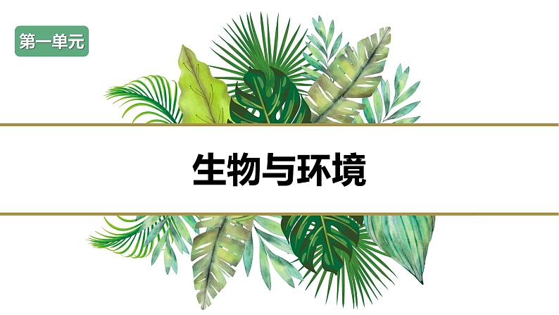 第一节 种子发芽实验（课件）-教科版五年级科学下册第1页