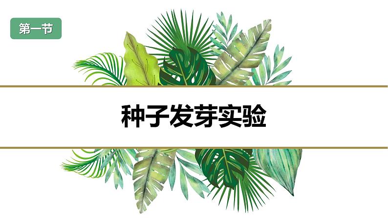 第一节 种子发芽实验（课件）-教科版五年级科学下册第2页