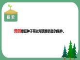 第一节 种子发芽实验（课件）-教科版五年级科学下册