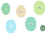 第一节 种子发芽实验（课件）-教科版五年级科学下册