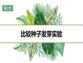 第二节 比较种子发芽实验（课件）-教科版五年级科学下册