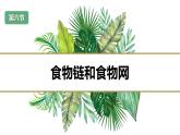 第六节+食物链和食物网（课件）-教科版五年级科学下册